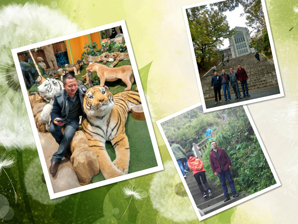 高端拉床,專用機床,內(nèi)拉床,外拉床,數(shù)控機床,自動化生產(chǎn)線,工業(yè)機器人