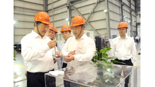 麗水市委書(shū)記張兵調(diào)研暢爾