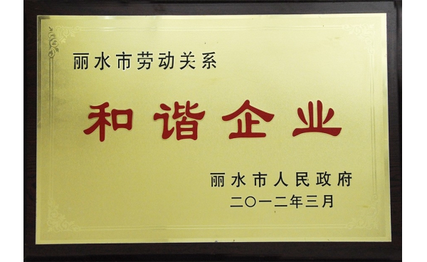 麗水市勞動(dòng)關(guān)系和諧企業(yè)