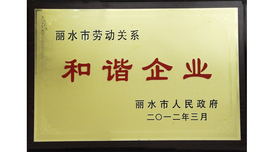 麗水市勞動關(guān)系和諧企業(yè)