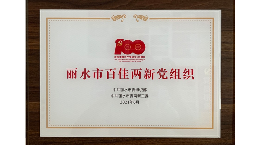 麗水市百佳兩新黨組織